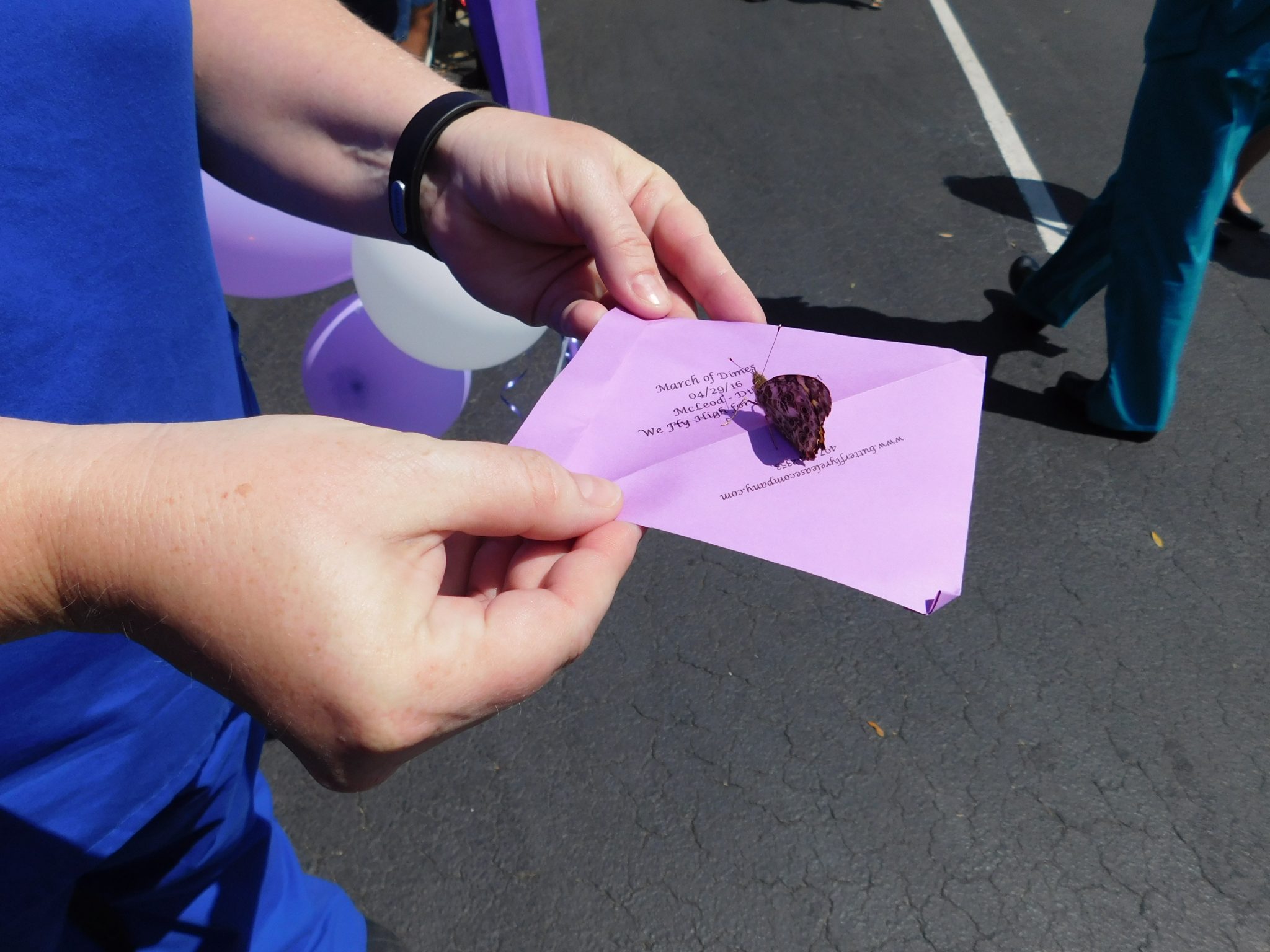 March Of Dimes Butterfly Release Held