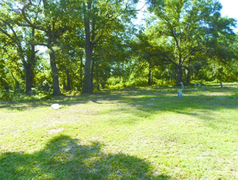 Group Seeking To Restore And Preserve Oakey Point Cemetery