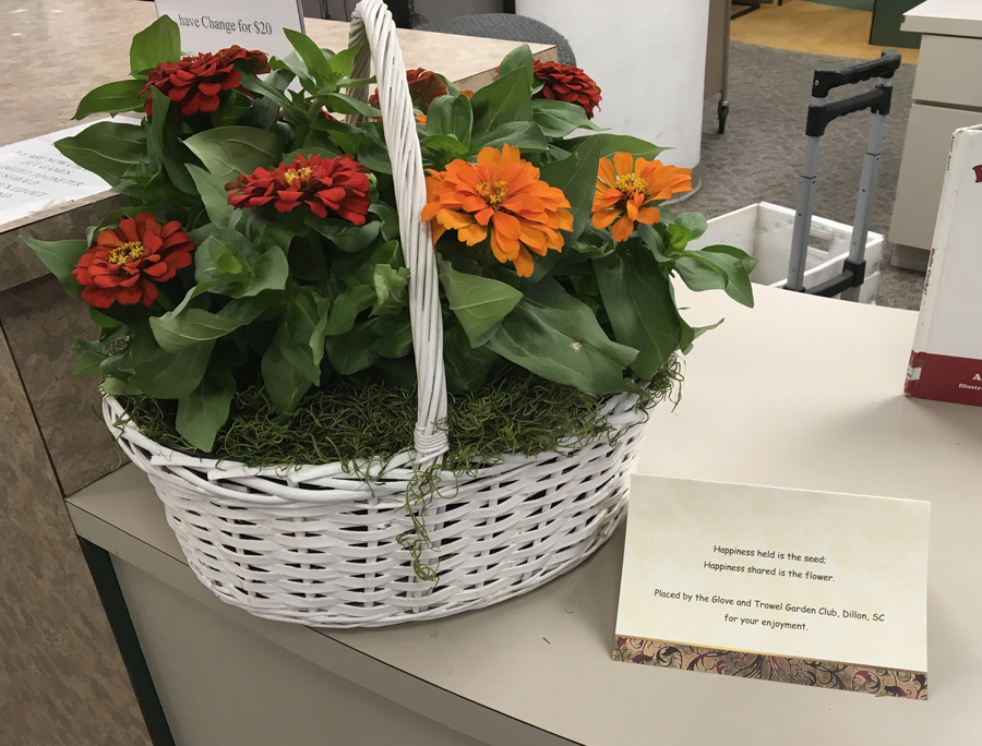 Glove And Trowel Garden Club Places Flowers In Library