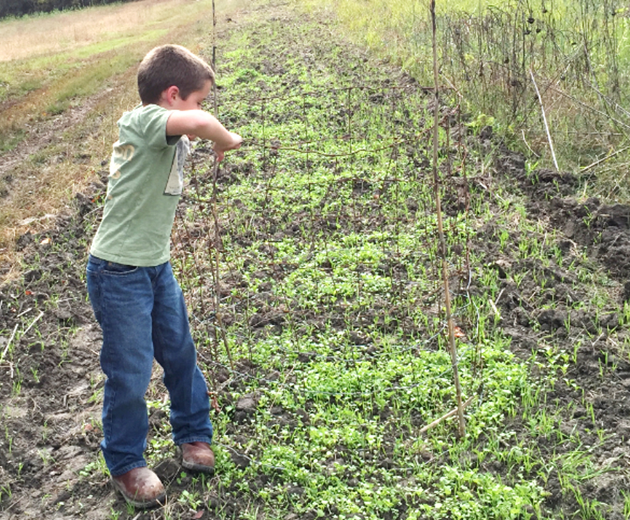 Registration Underway For Wildlife Food Plot Project
