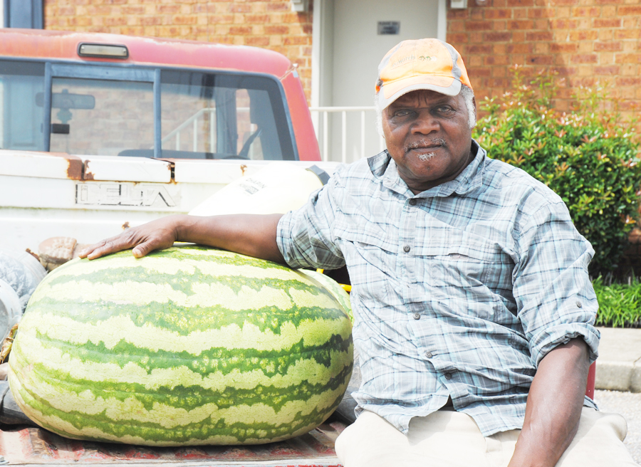 Ted Alford Grows Huge Watermelon