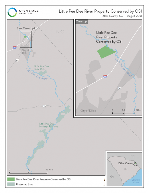 The Open Space Institute, Pee Dee Land Trust and South Carolina Ports Authority Protect Little Pee Dee River Property