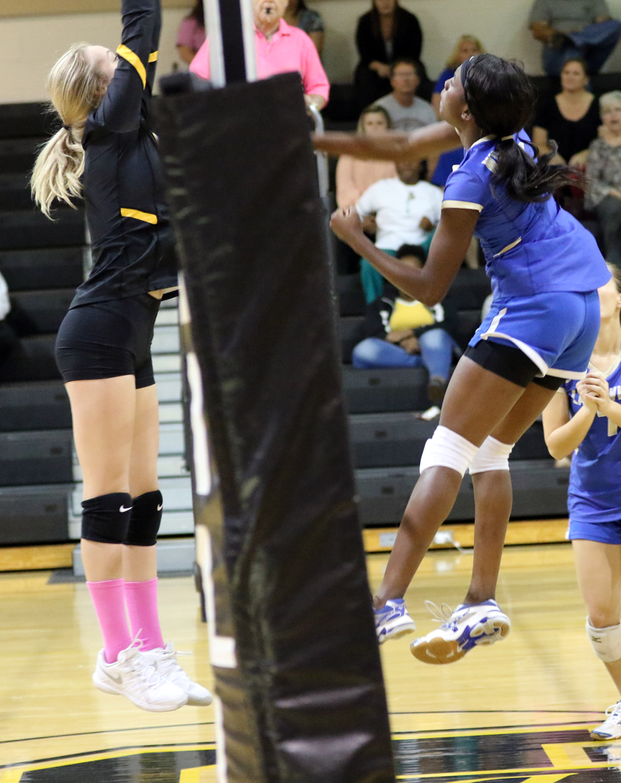 PHOTO GALLERY: Dillon Lady Wildcats vs Lake View Lady Wild Gators Volleyball