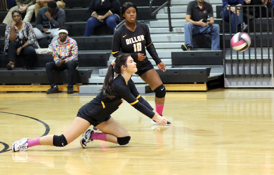 PHOTO GALLERY: Lady Wildcats Pick Up 3-0 Win Over Lady Vikings