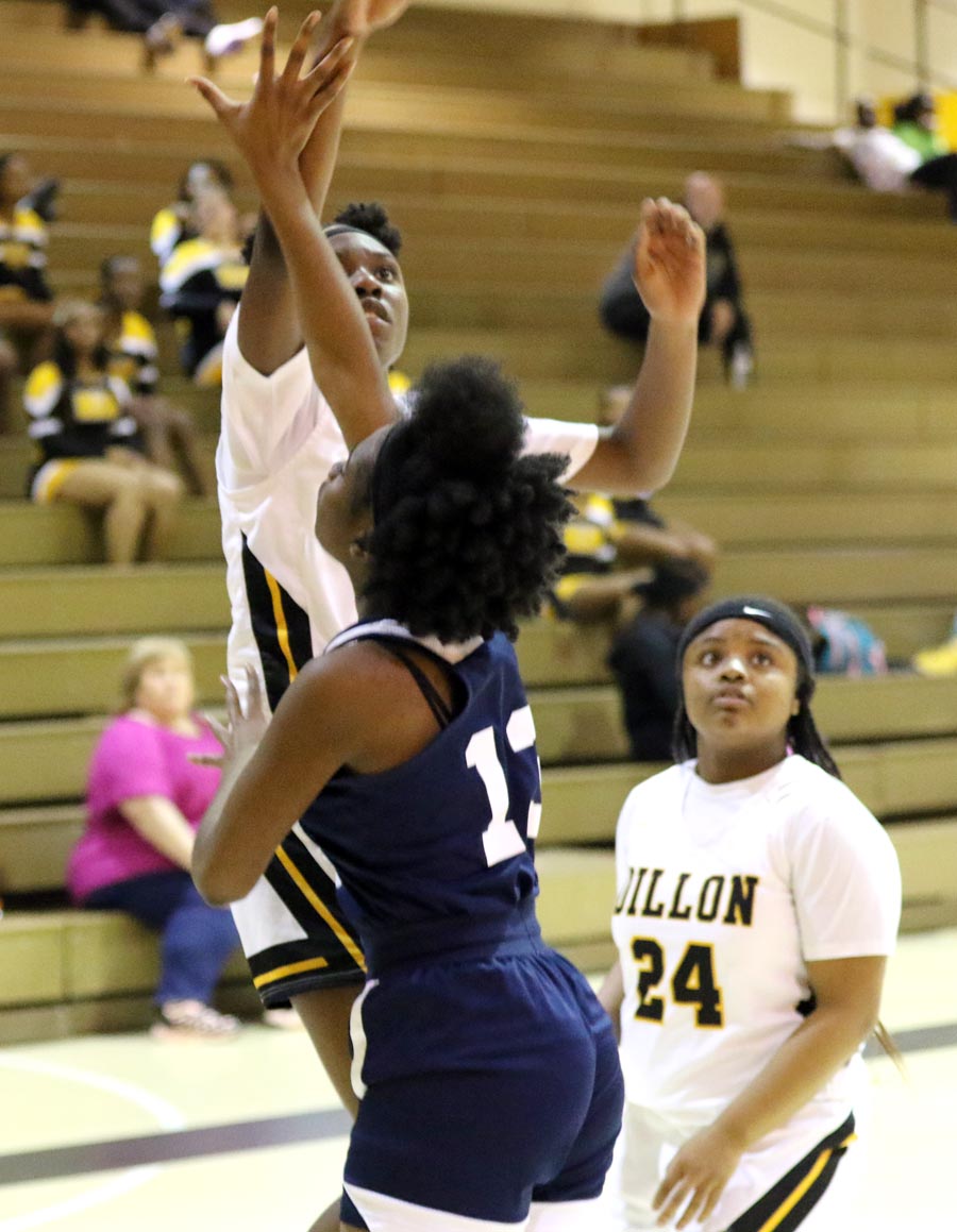 PHOTO GALLERY: Dillon Lady Wildcats Pick Up Win Over Georgetown Lady Bulldogs In Playoffs