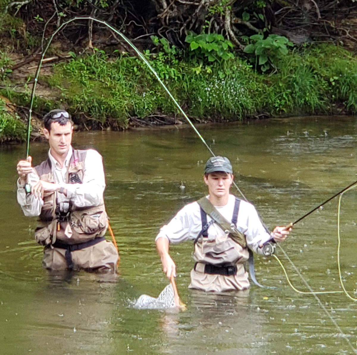 The Irrational Angler, A Tale Of Wilson Creek