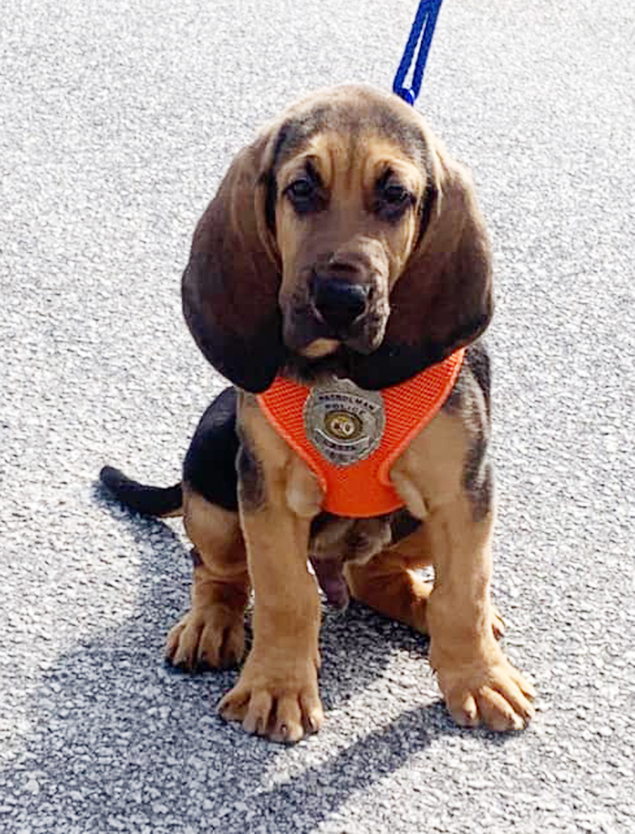 Latta Police Department Has New Addition