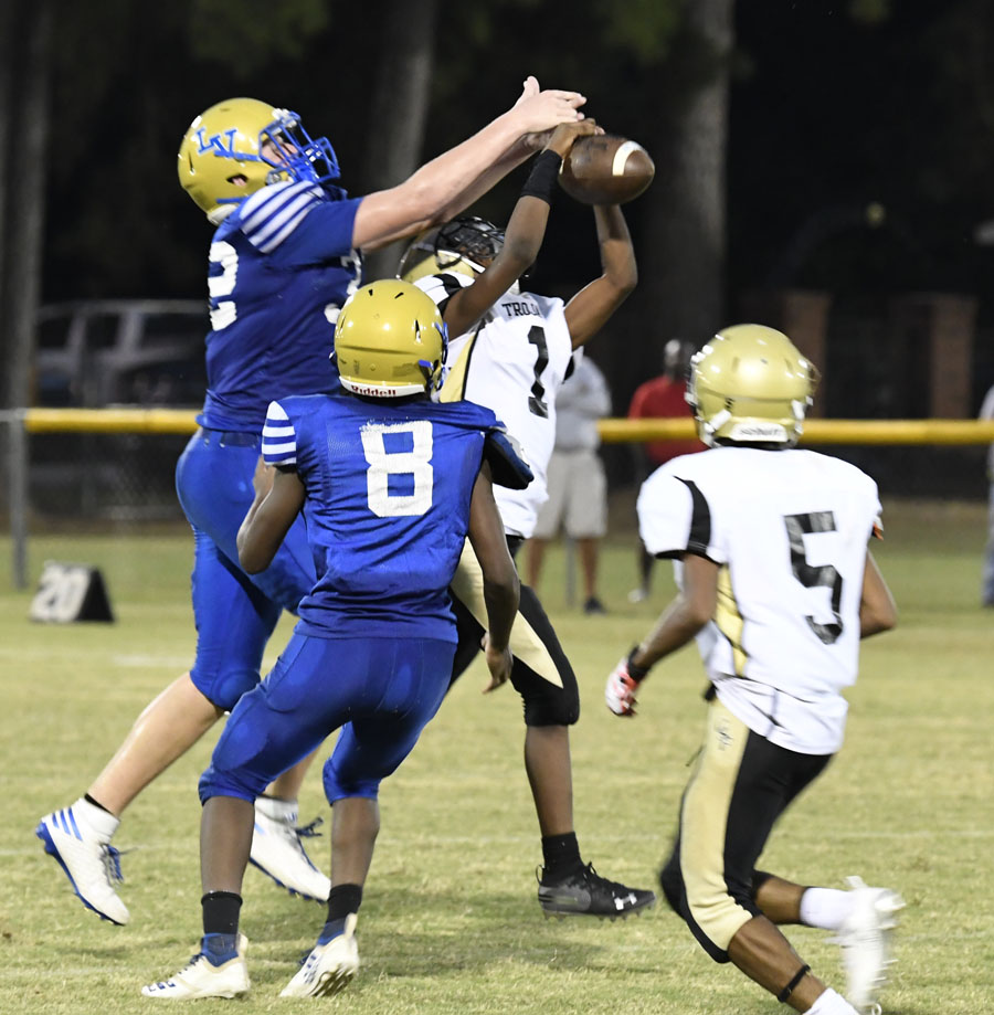 PHOTO GALLERY: Lake View JV Falls To Green Sea In Close Game