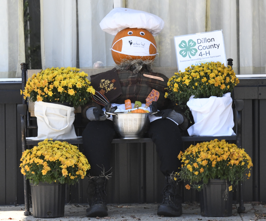 PHOTO GALLERY: National 4-H Week Scarecrows