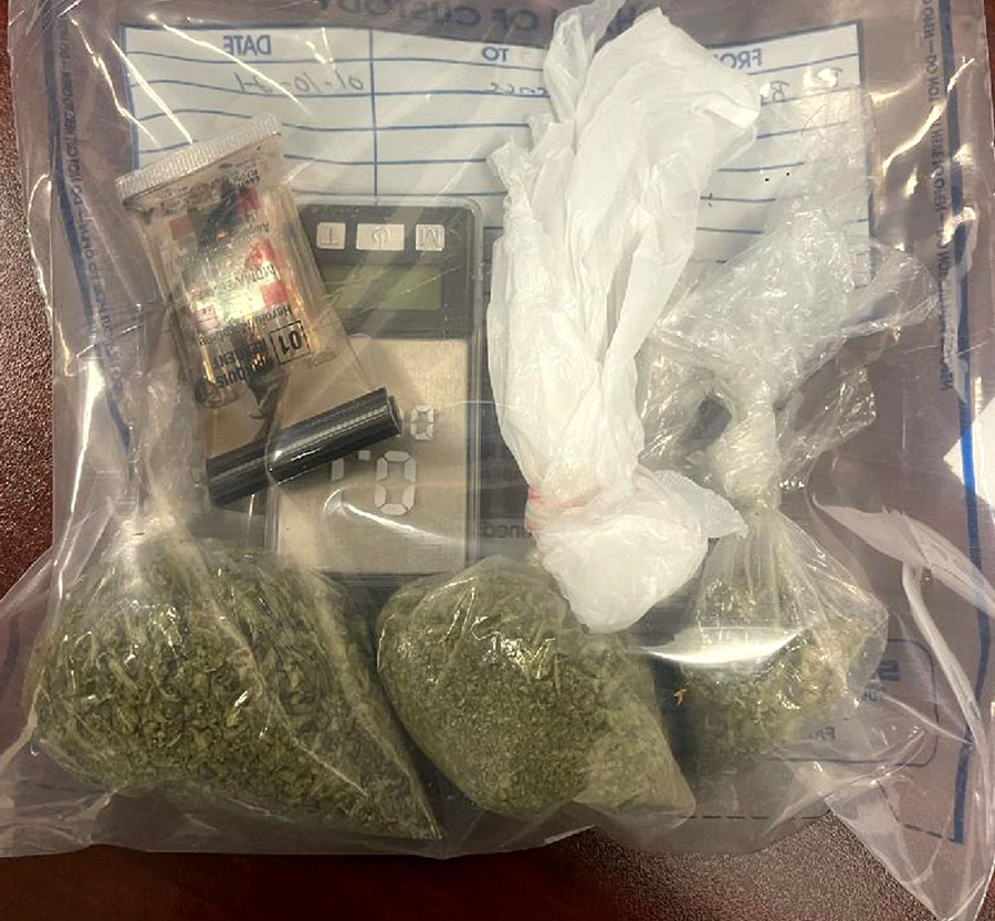 Fire Call Results In Drug Arrest