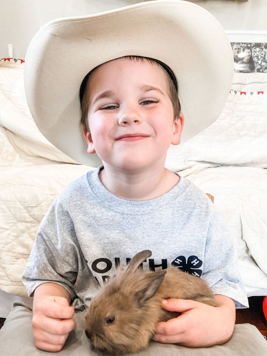 4-H Rabbit Project Registration Underway