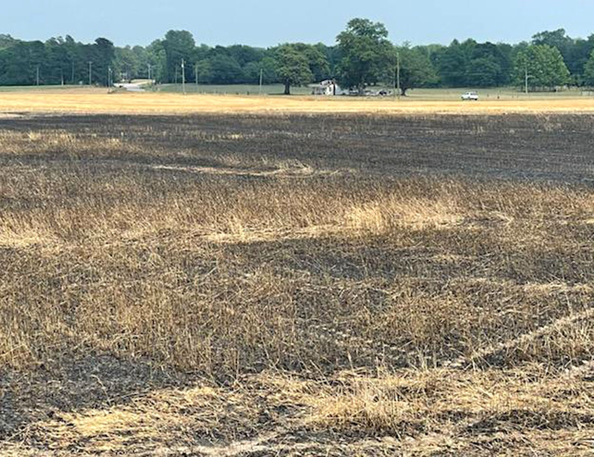 Wheat Field Burns