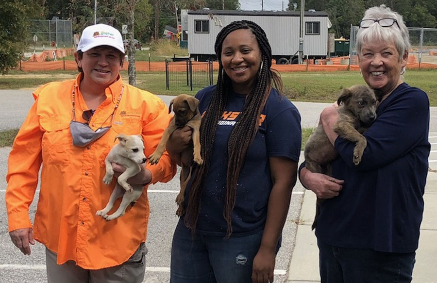 Dillon County Humane Society Needs Volunteers