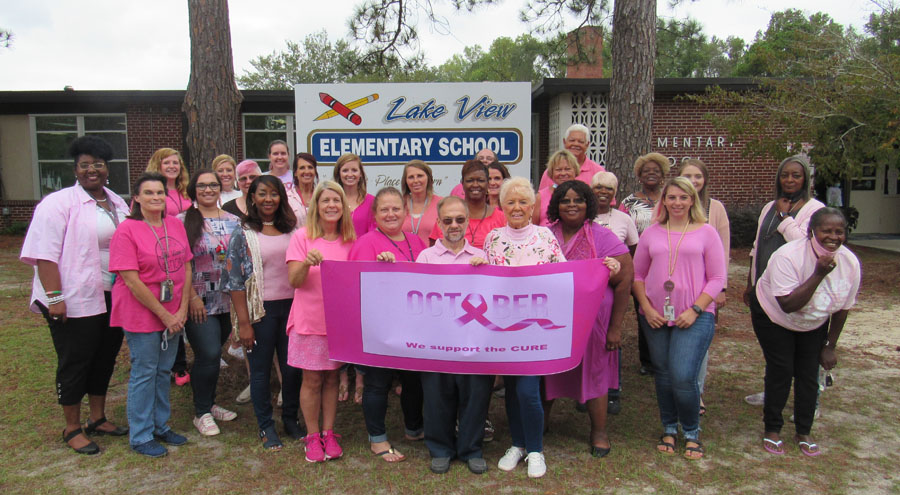 Lake View Elementary Wears Pink For A Cure