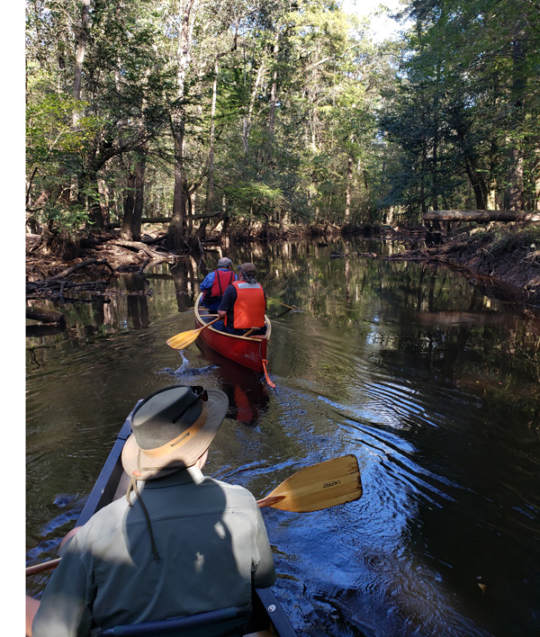 Exploring The Congaree National Park