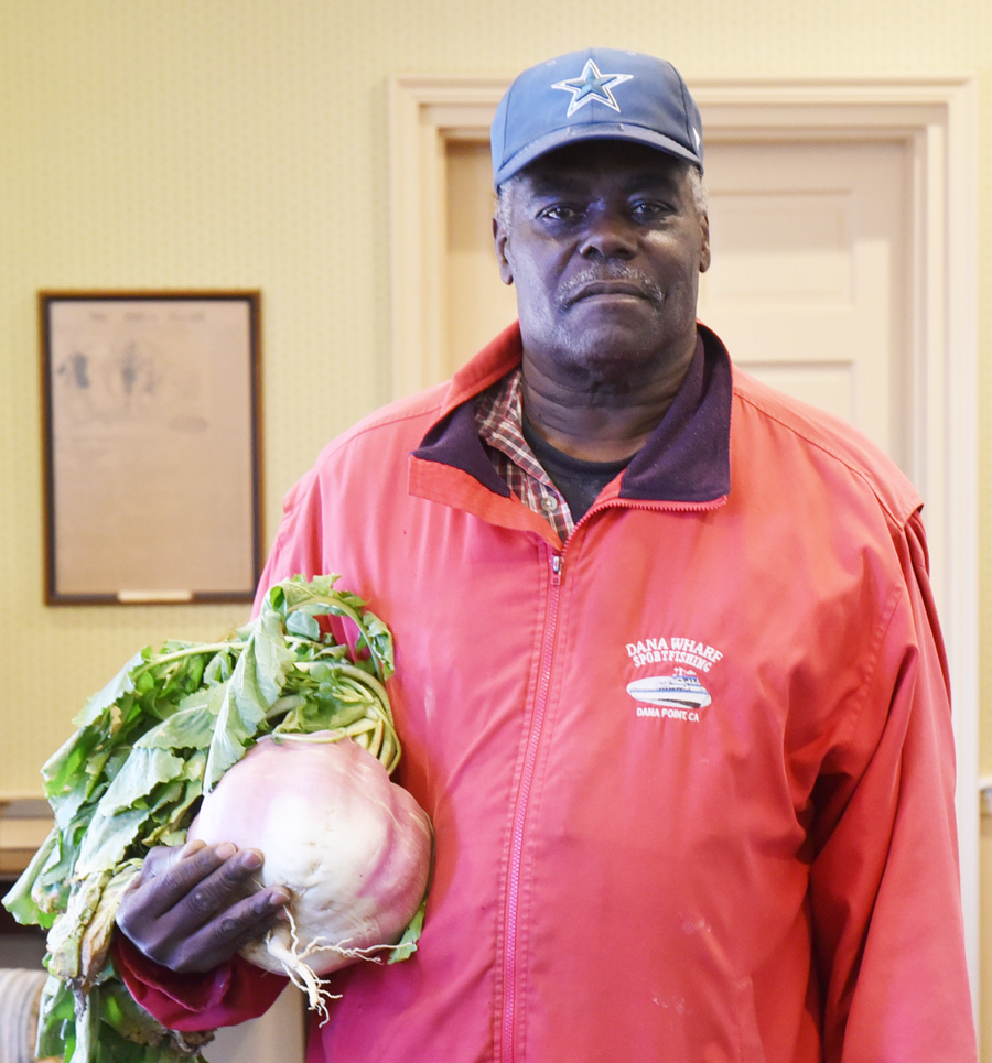 Man Grows Huge Turnip