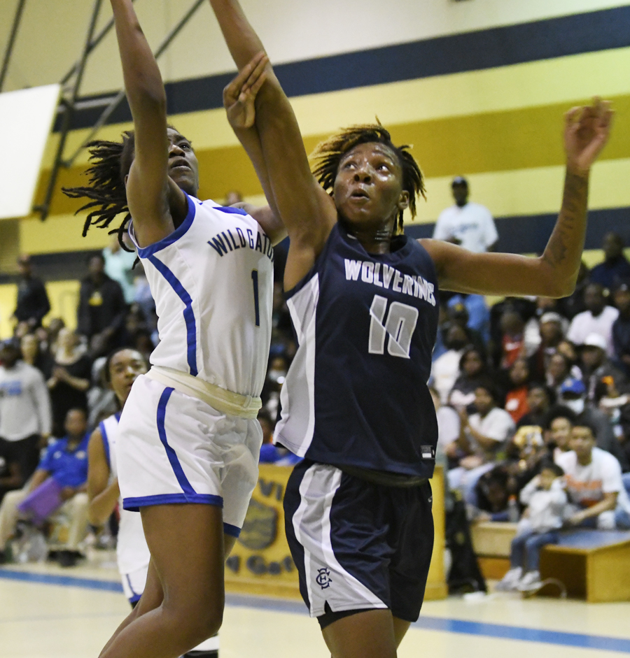 PHOTO GALLERY: Lake View Gets Win Over East Clarendon For Chance At Lower State Title