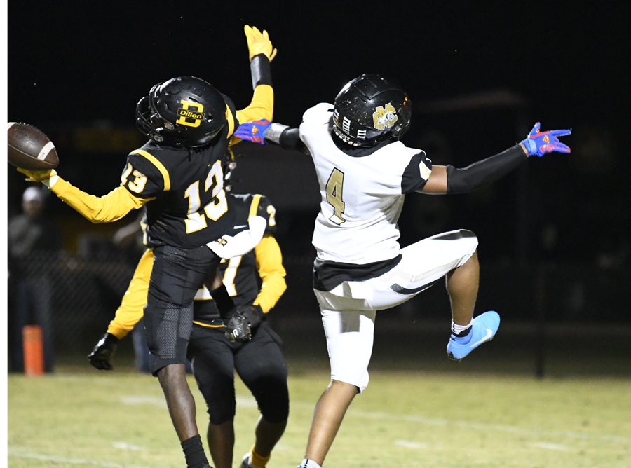 PHOTO GALLERY: Dillon High Wildcats v. Marlboro County Bulldogs