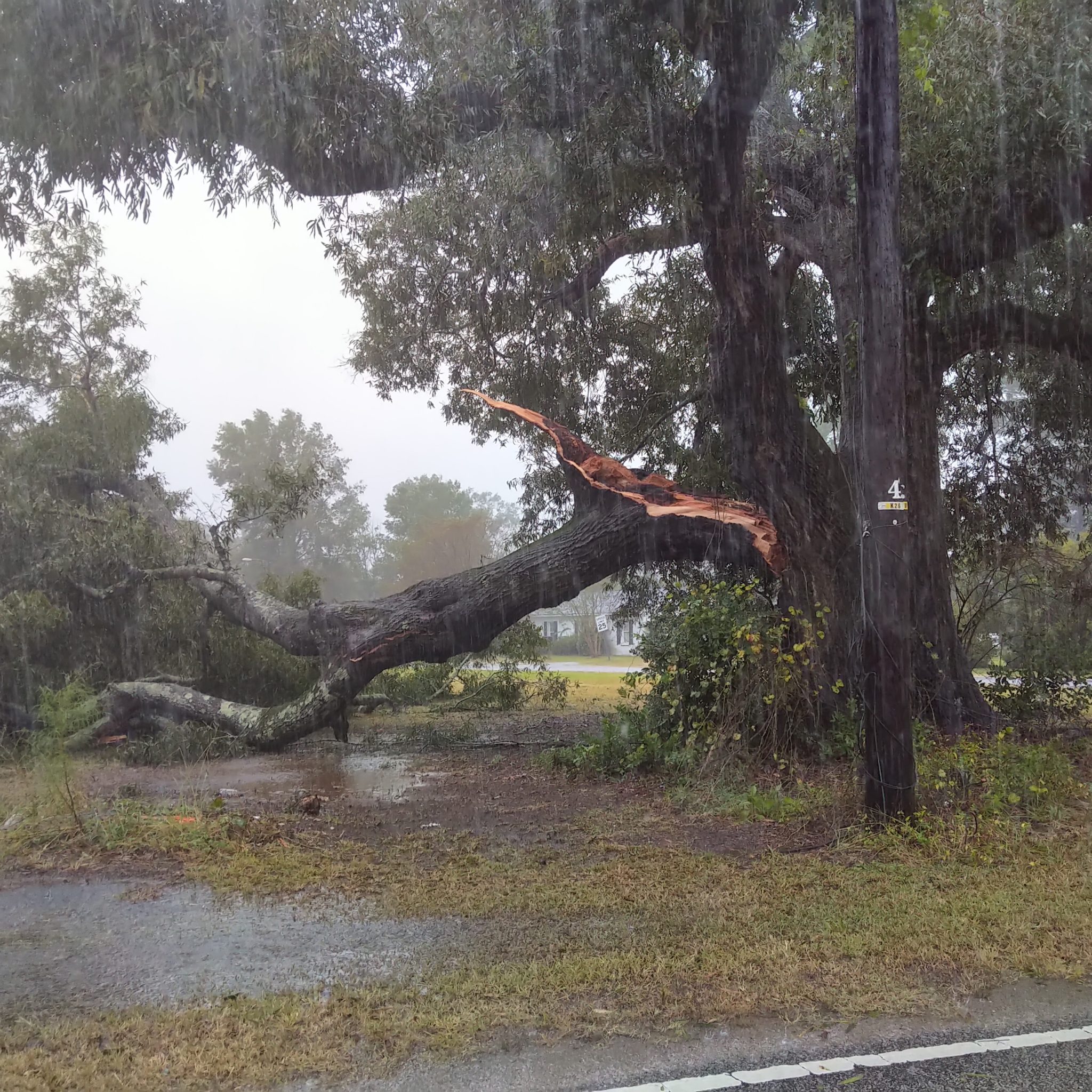 PHOTO GALLERY: Hurricane Ian 2022