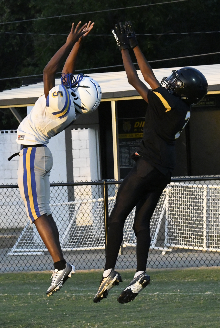 PHOTO GALLERY: Dillon JV v. Loris JV