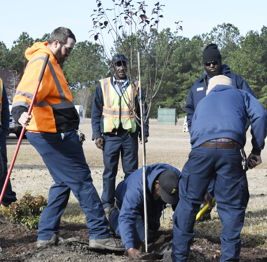 Arbor Day Observed