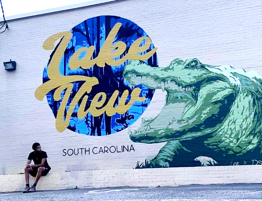 Mural Goes Up In Lake View