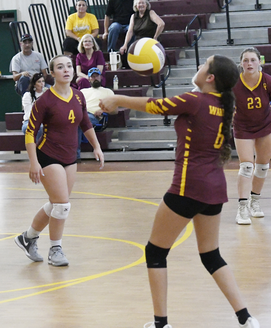 PHOTO GALLERY: Dillon Christian School Volleyball v. Lee Academy