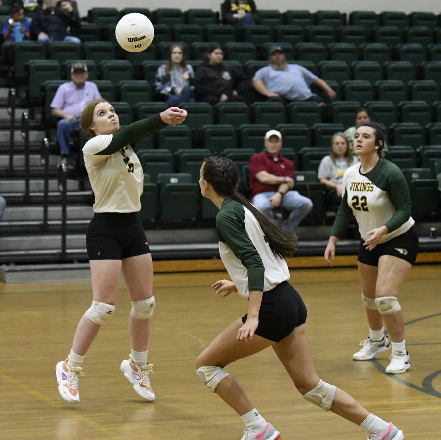 PHOTO GALLERY: Latta Volleyball vs. Bamberg-Ehrhardt