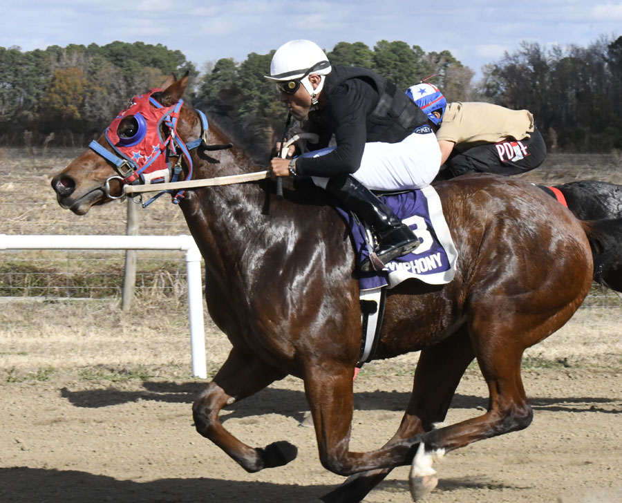 Gia’s Training Center Opens (with photo gallery)