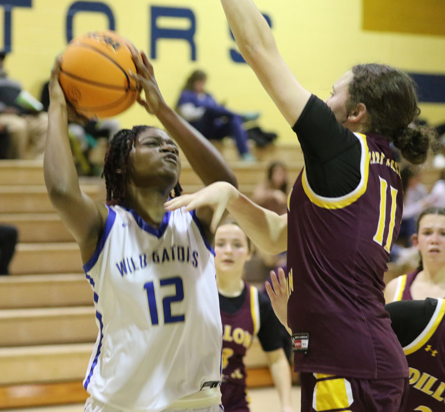 PHOTO GALLERY: DCS Girls v. Lake View